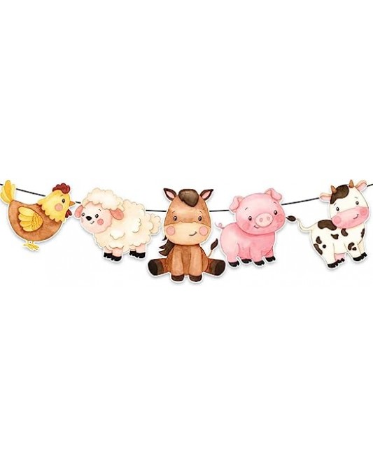 SZ15-43-60p-Farm Animals  Birthday Decorations for  DIY